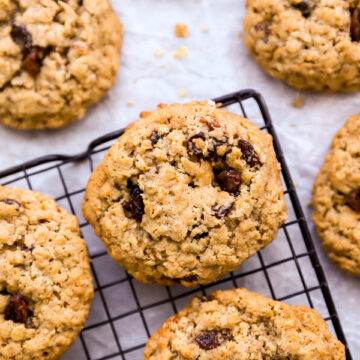 Haferflocken cookies auf einem Auskühlgitter